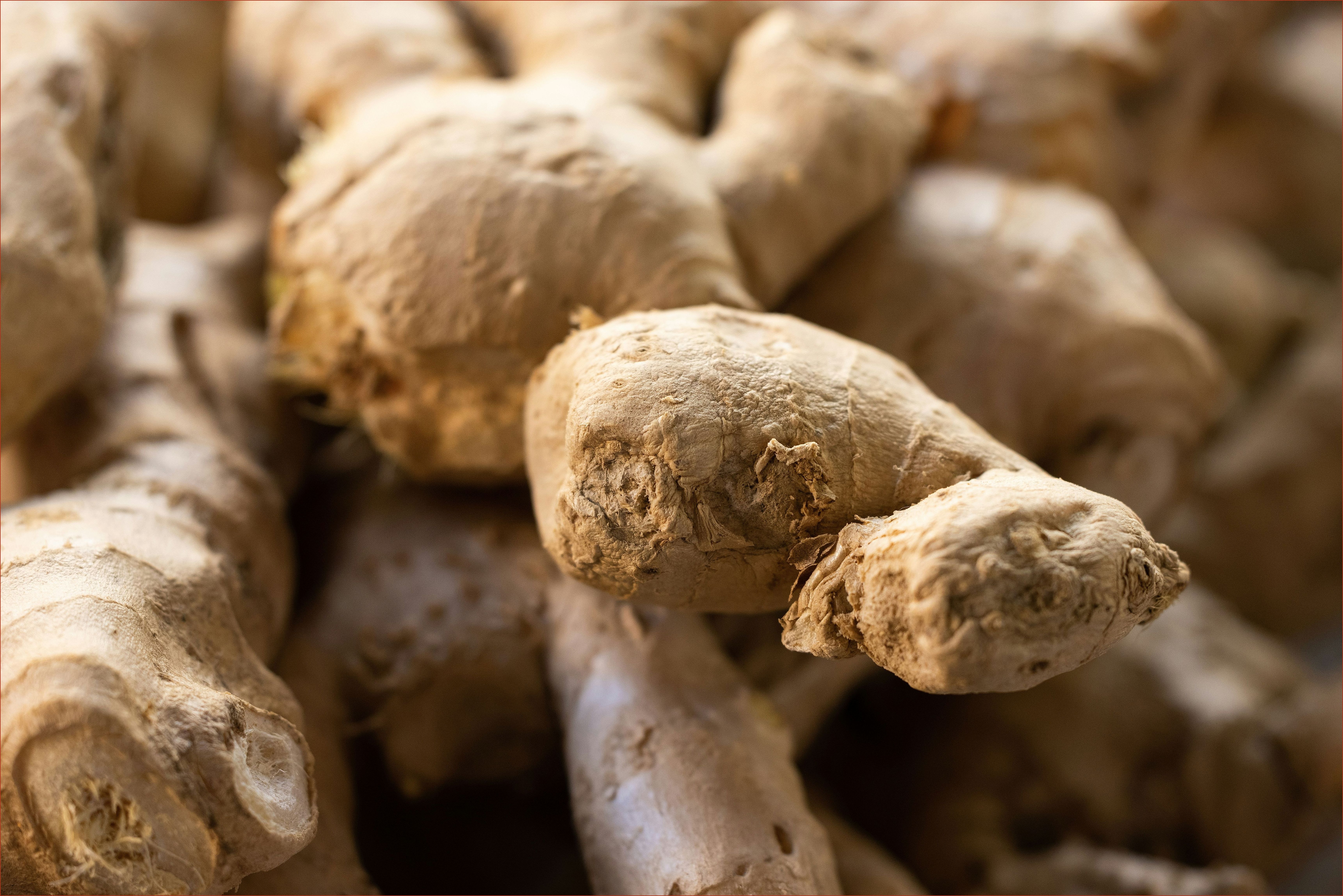 Ginger root