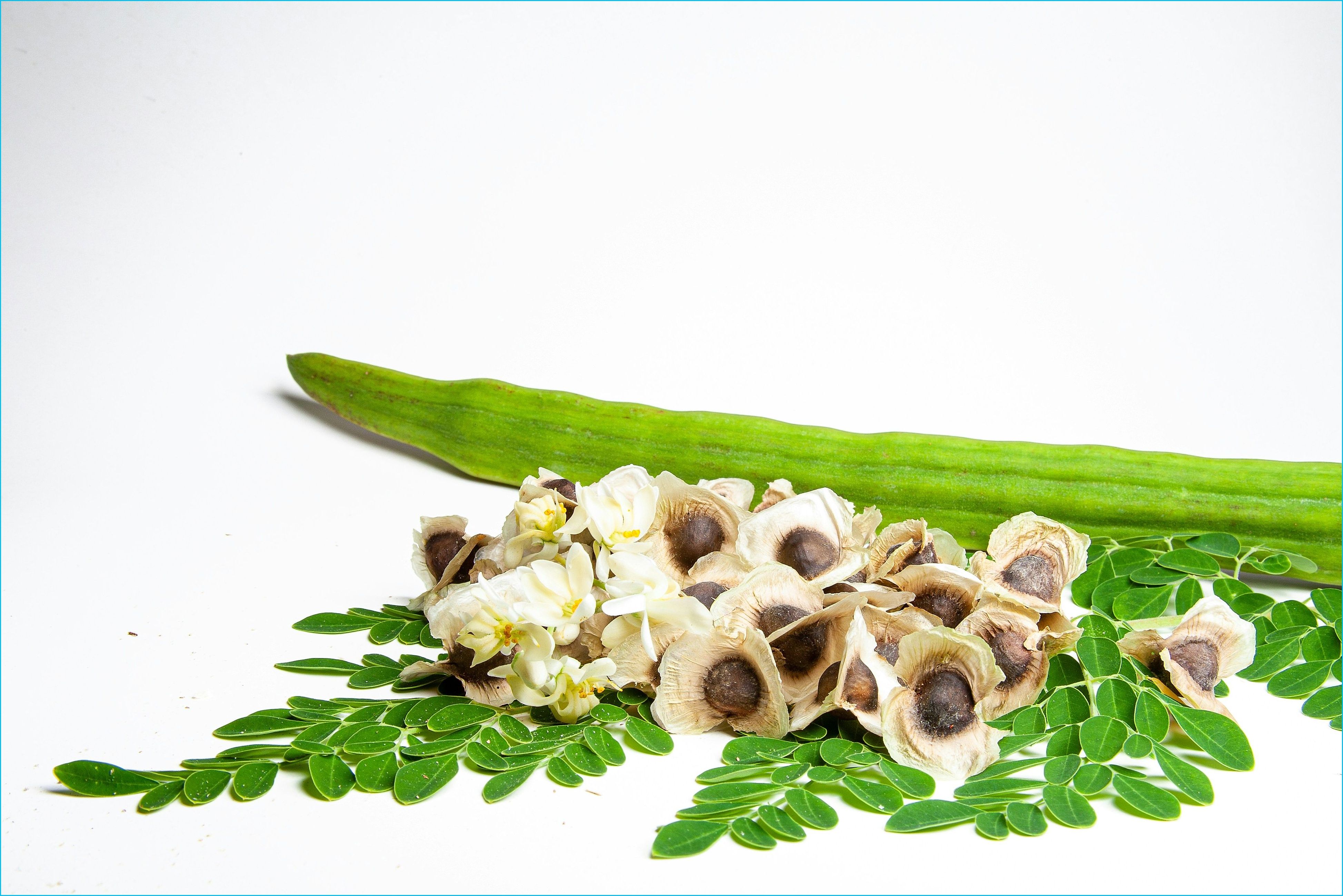 Moringa
